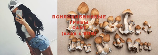 СК Козельск