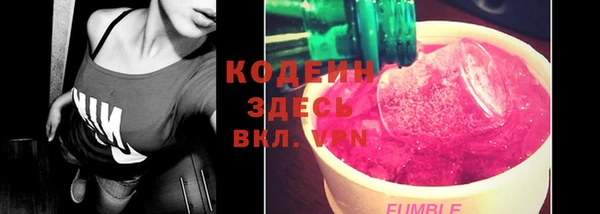 прущий лед Кодинск