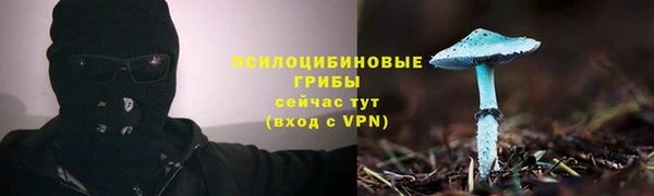 эйфоретик Козловка
