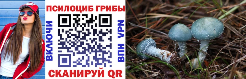 Псилоцибиновые грибы Magic Shrooms  продажа наркотиков  Ачинск 